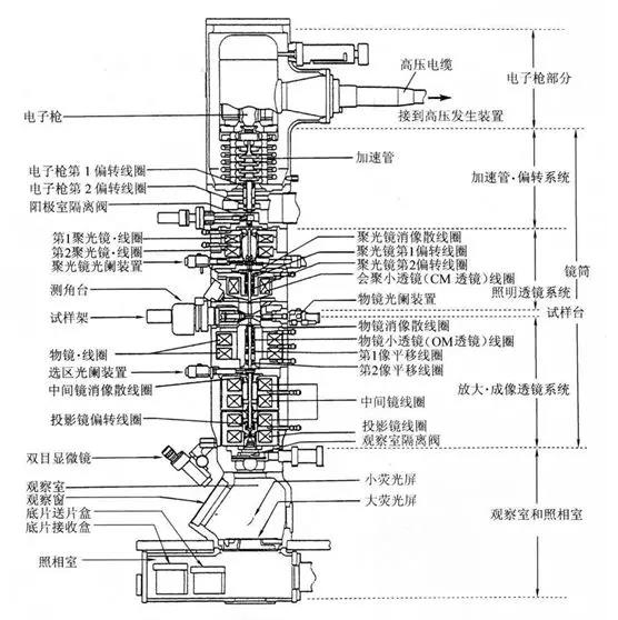 透射電子顯微鏡主體的剖面圖.png